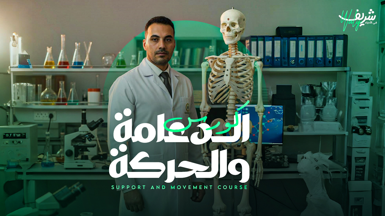 كورس الدعامة والحركة